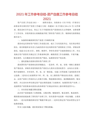 2024年工作参考总结-资产自查工作参考总结2024 