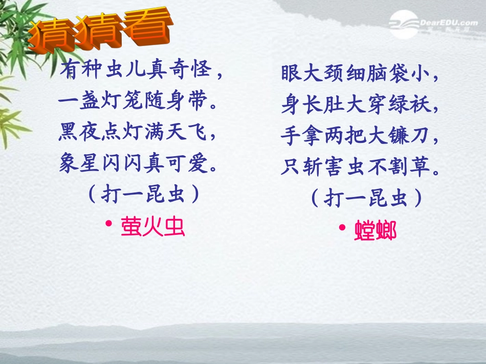 浙江省江山市峡口初级中学七年级语文-绿色蝈蝈2-课件-语文版_第1页
