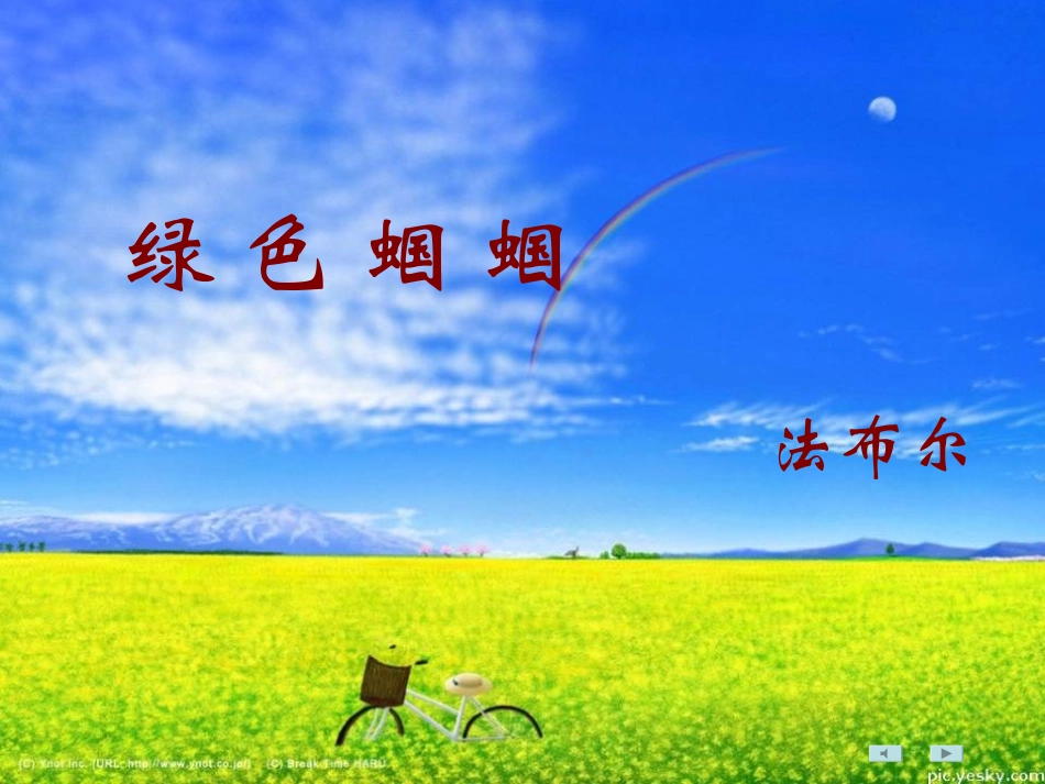 浙江省江山市峡口初级中学七年级语文-绿色蝈蝈2-课件-语文版_第2页