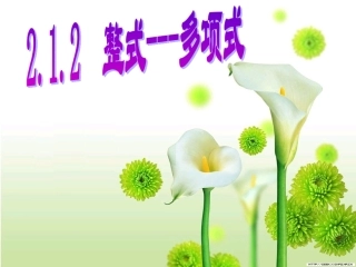 七年级数学《整式(多项式)》