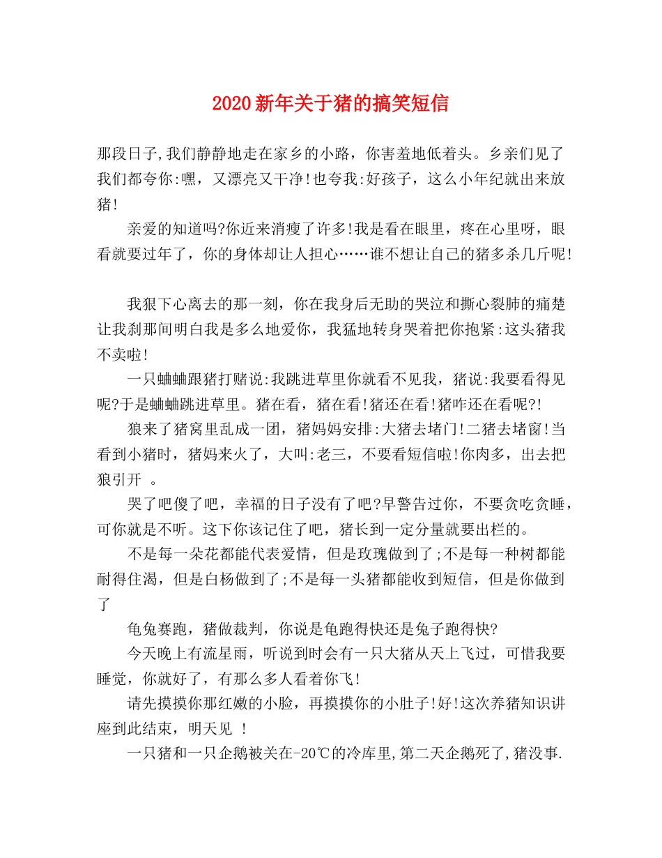 2024新年关于猪的搞笑短信 _第1页