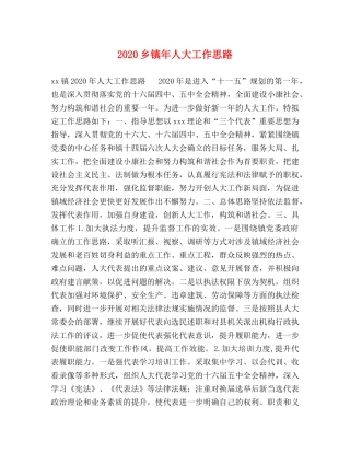 2024乡镇年人大工作思路 