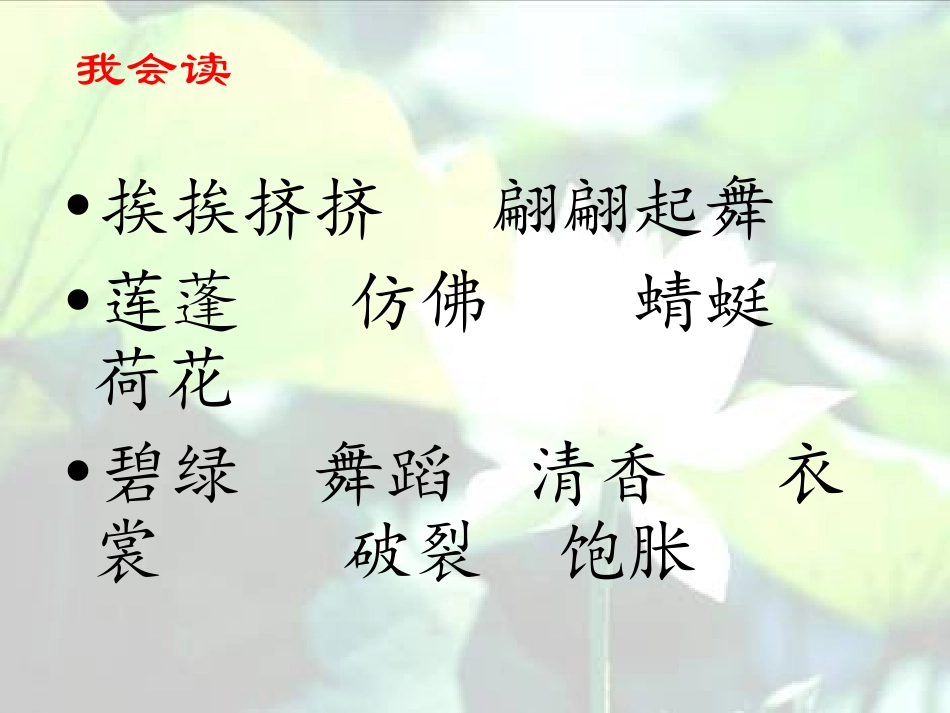 3课荷花课件11ppt_第2页