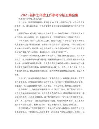 2024新护士年度工作参考总结五篇合集 