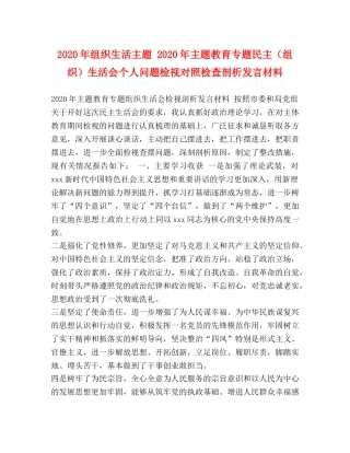 2024年组织生活主题 2024年主题教育专题民主（组织）生活会个人问题检视对照检查剖析发言材料 