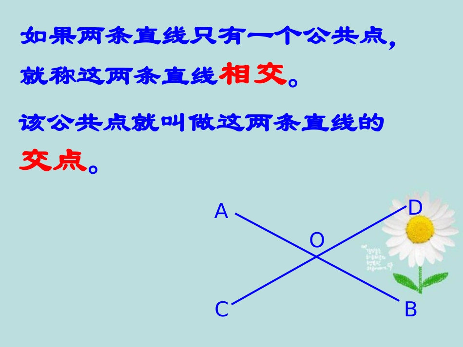 浙江省永嘉县大若岩镇中学七年级数学上册《6.9直线的相交》课件-浙教版_第3页