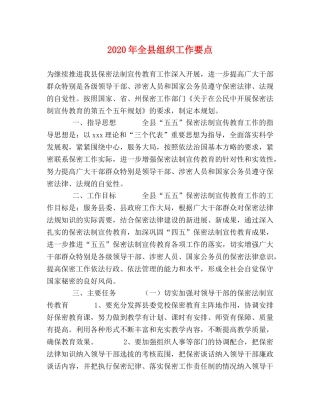 2024年全县组织工作要点 