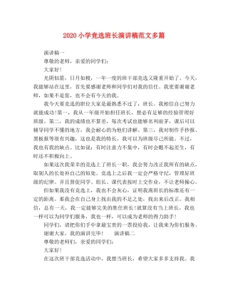 2024小学竞选班长演讲稿范文多篇 