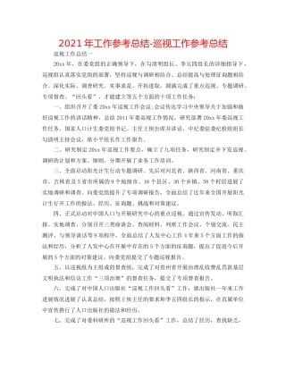 2024年工作参考总结-巡视工作参考总结 