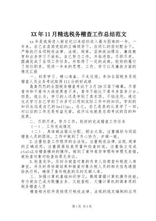 XX年11月精选税务稽查工作总结范文