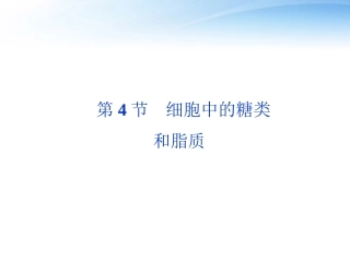 【优化方案】2012高中生物-第4节-细胞中的糖类和脂质同步课件-新人教版必修1