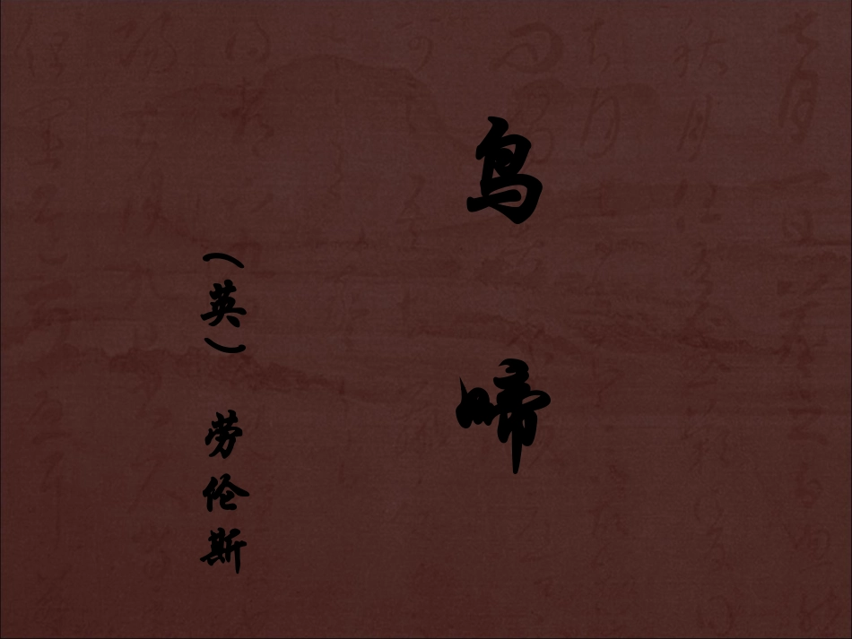 《鸟啼》课件1_第1页