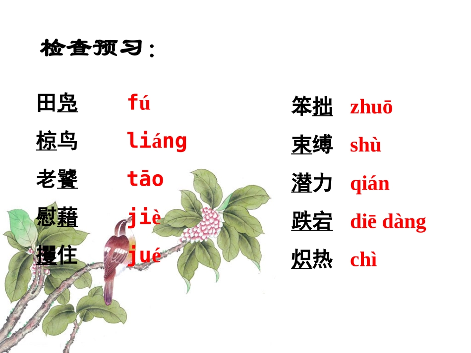 《鸟啼》课件1_第3页