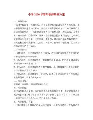 2024年青年教师培养方案 