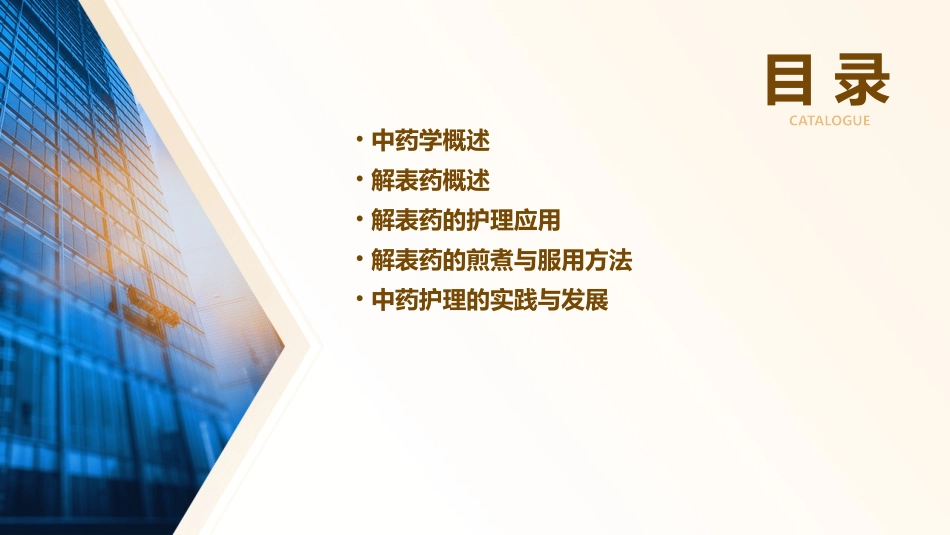 中药学 解表药护理课件_第2页