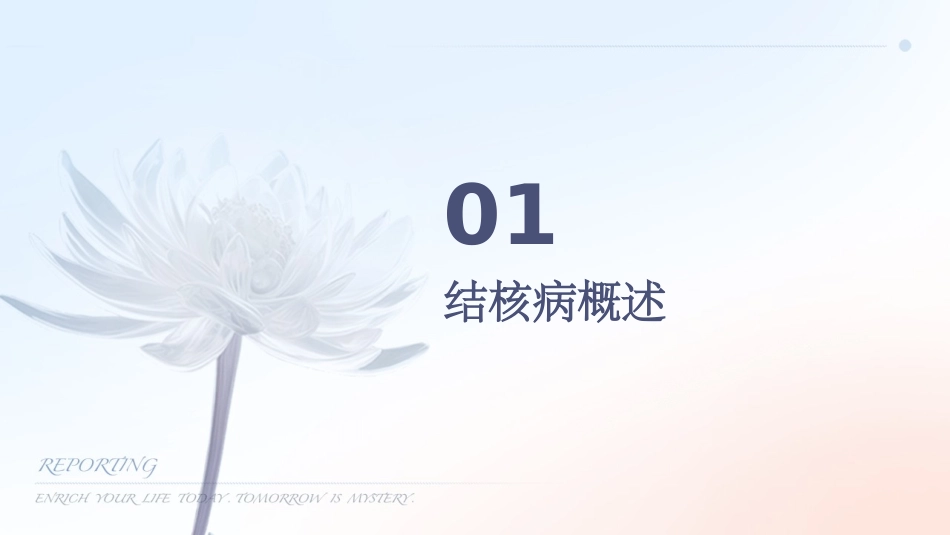 人卫版传染病学之结核病教学护理课件_第3页