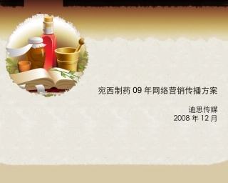宛西制药09年网络营销传播方案