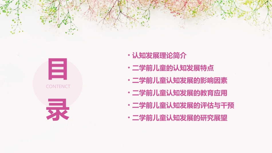 二学前儿童认知发展课件_第2页