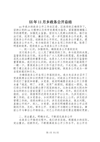 XX年11月乡政务公开总结