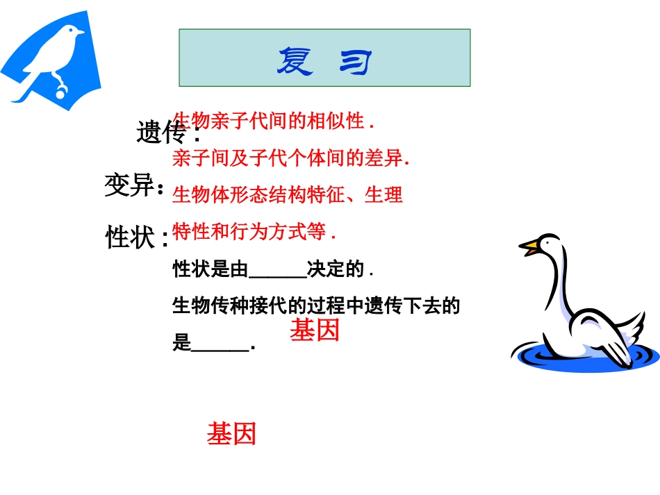 第二节基因在亲子代间的传递_第2页
