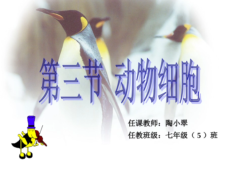 第三节动物细胞-(2)_第1页