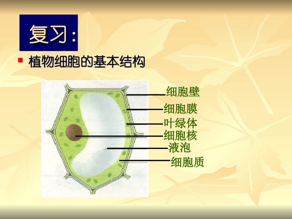 第三节动物细胞-(2)_第2页