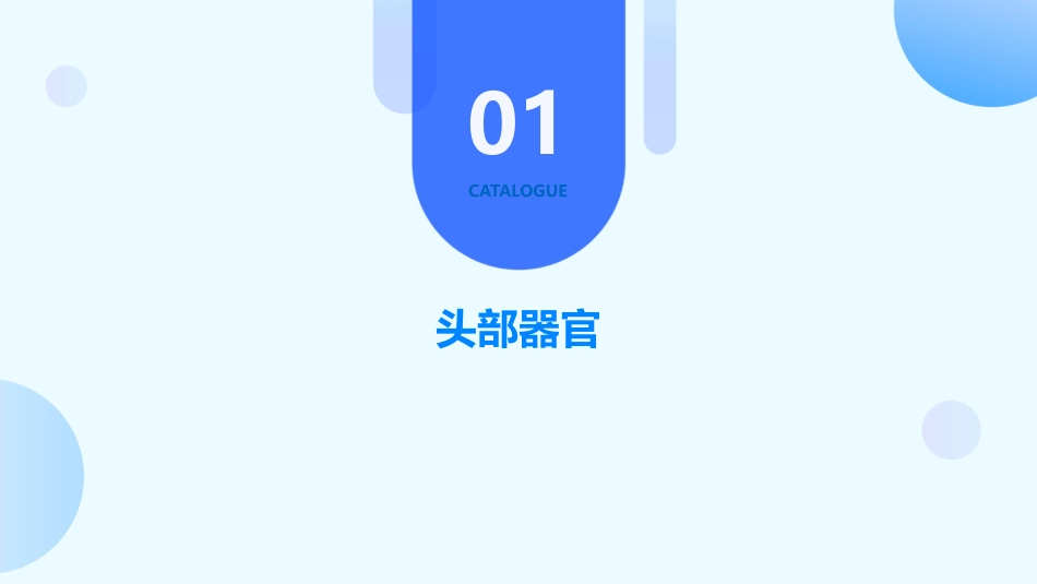 人体器官成语课件_第3页