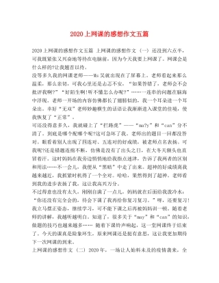 2024上网课的感想作文五篇 