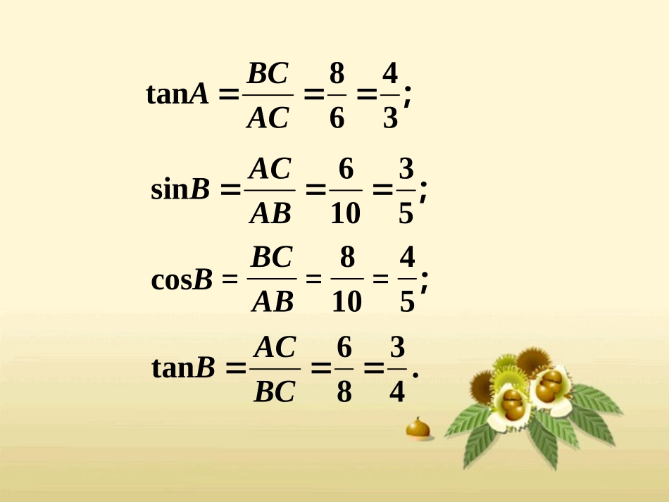 练习2-锐角三角函数_第2页