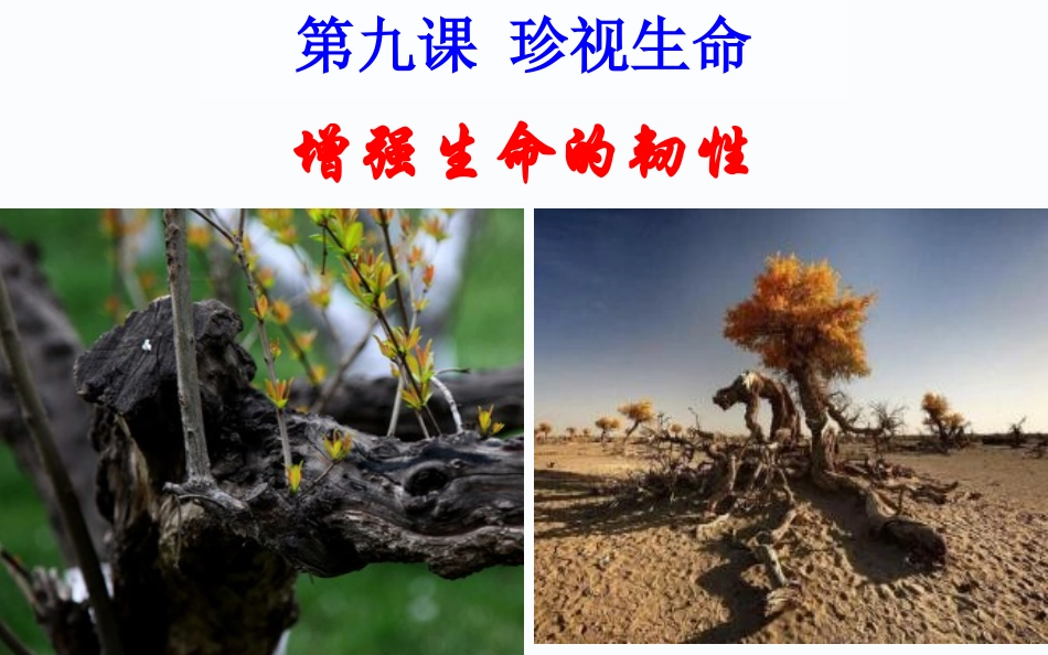 新教材人教版道德与法治七年级第九课第二框增强生命的韧性微课课件_第1页