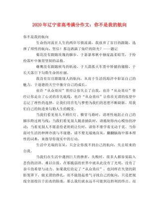 2024年辽宁省高考满分作文你不是我的航向 