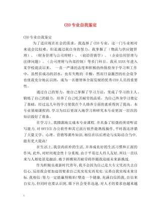 CEO专业自我鉴定 