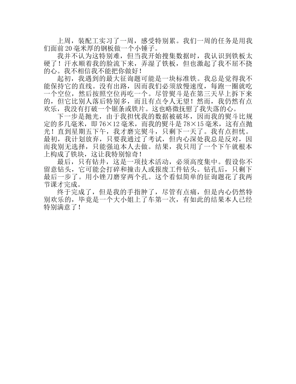 2024暑假钳工实习工作参考总结范文 _第2页