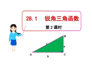 28.1锐角三角函数2