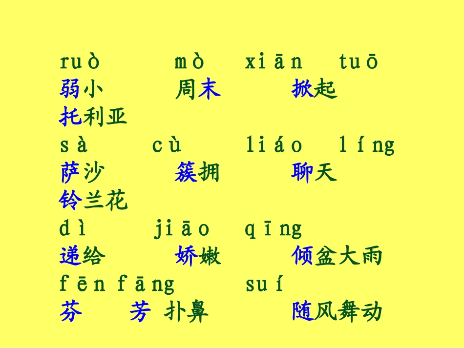 1095我不是最弱小的_第2页