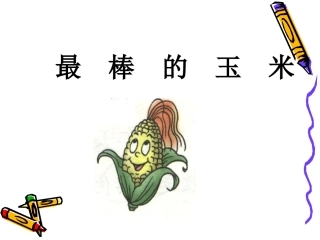 《最棒的玉米》课件2
