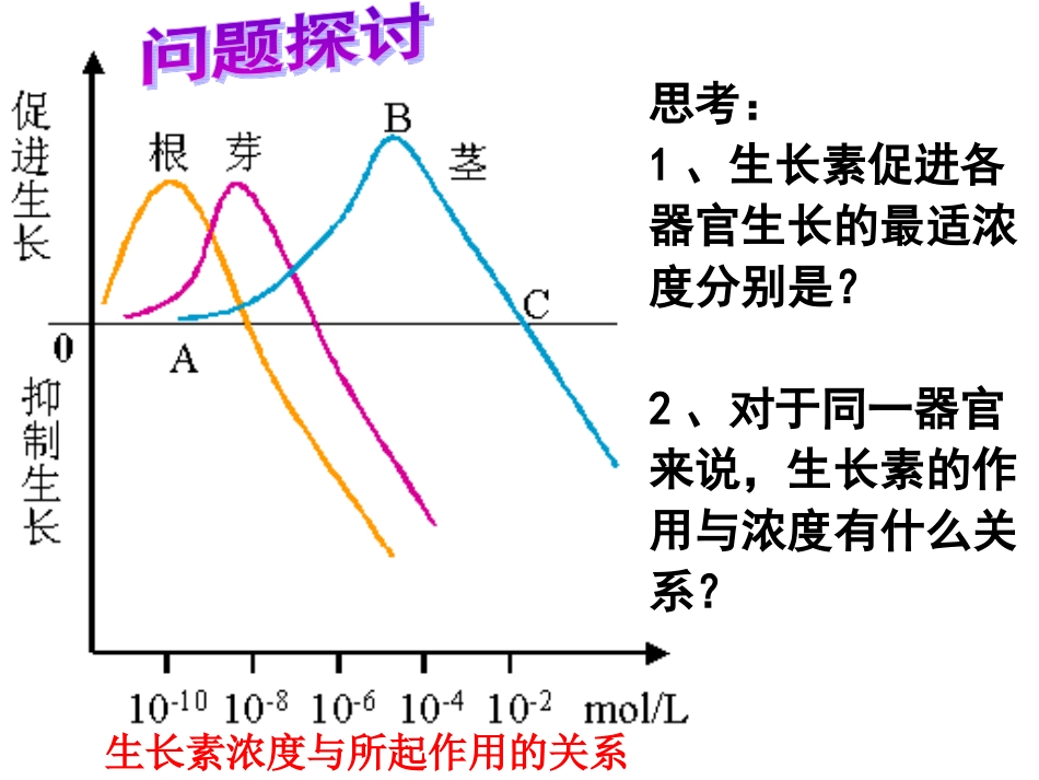3.2《生长素的生理作用》-课件_第3页