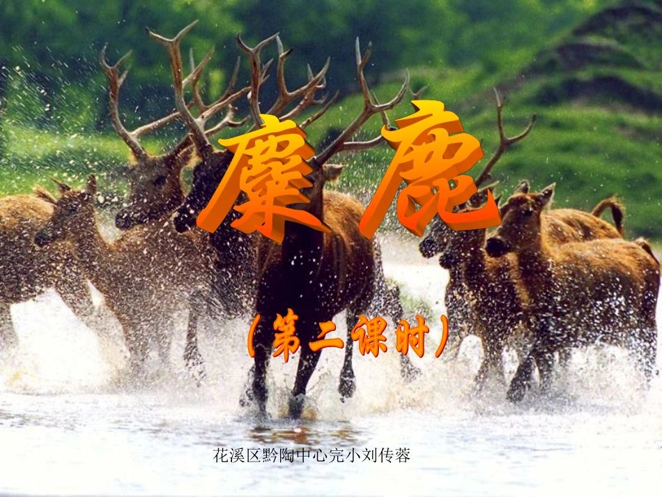 小学六年级上学期语文《麋鹿》优质课PPT课件_第1页