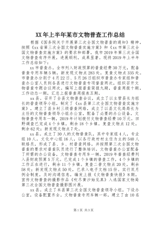 XX年上半年某市文物普查工作总结