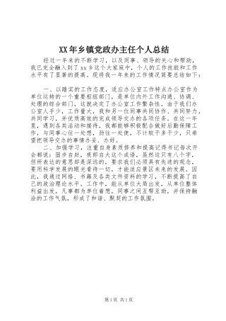 XX年乡镇党政办主任个人总结