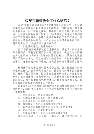XX年市律师协会工作总结范文