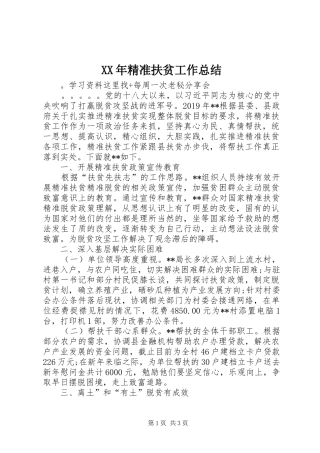 XX年精准扶贫工作总结