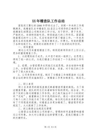 XX年稽查队工作总结