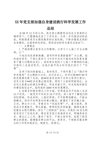 XX年党支部加强自身建设践行科学发展工作总结