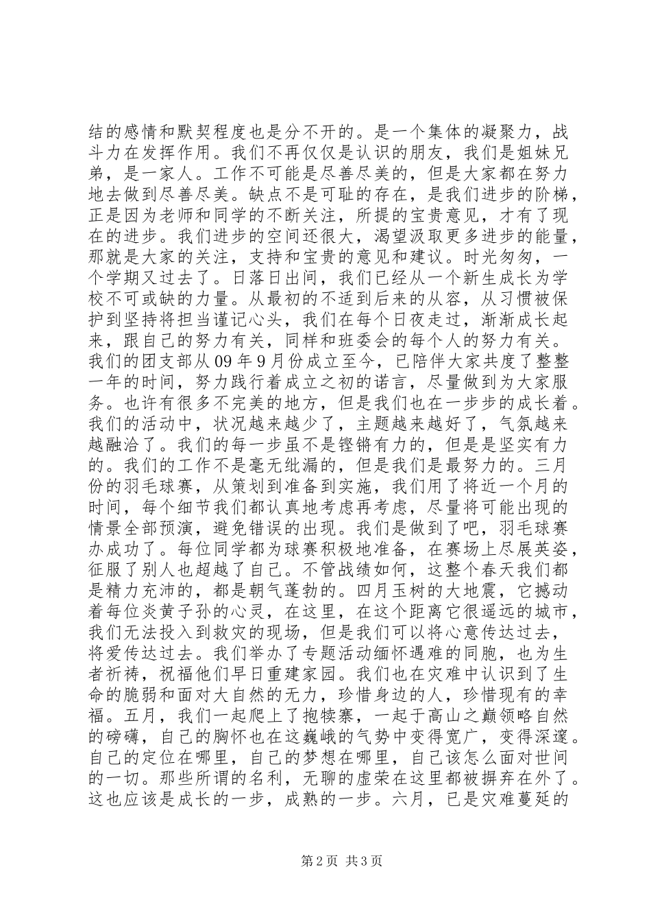 XX年团支书工作总结_第2页
