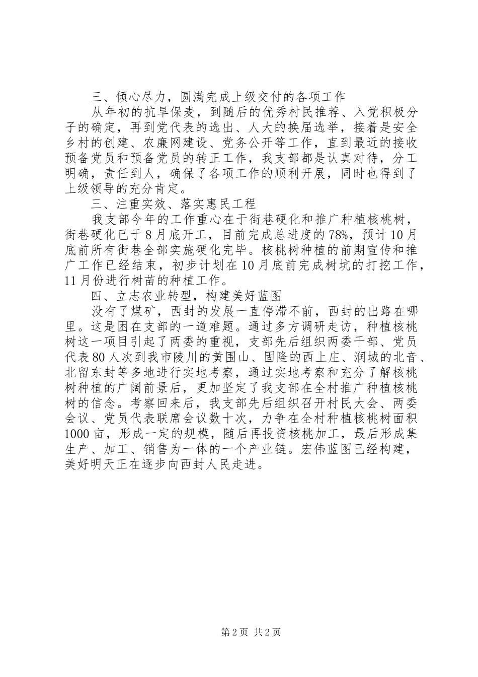 XX年村委年终工作总结_第2页