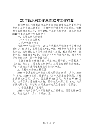 XX年县水利工作总结XX年工作打算
