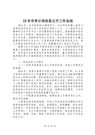 XX年市审计局信息公开工作总结