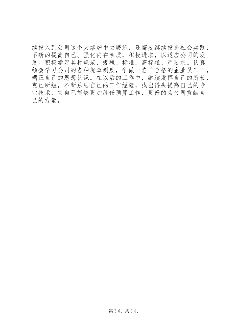 XX年度公司预算部工作总结报告_第3页