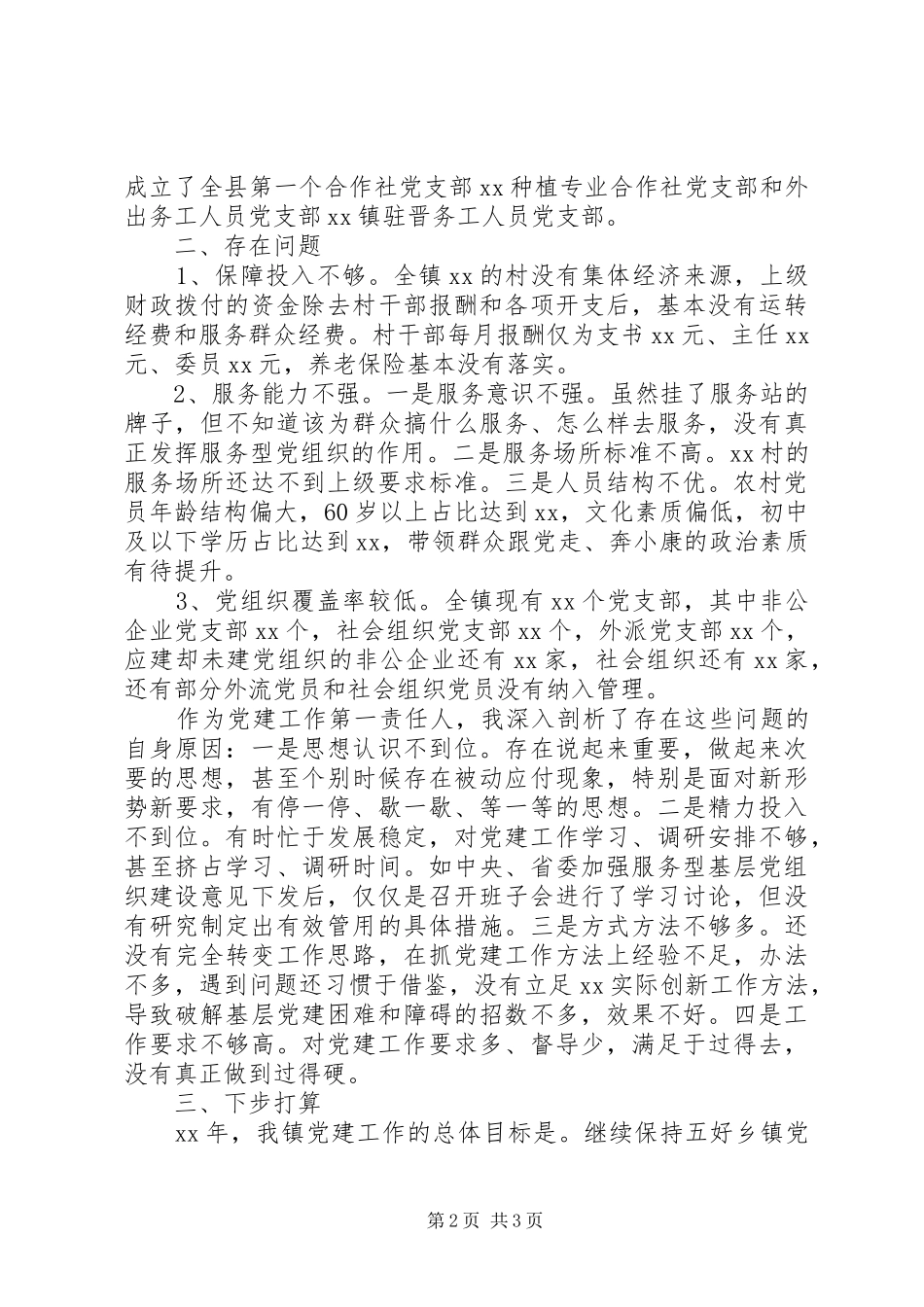 XX年党委书记抓党建工作总结范文_第2页